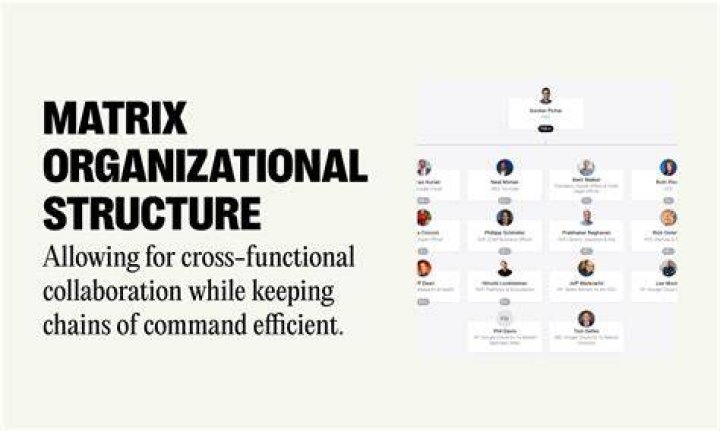 Adult content forum structure and organization