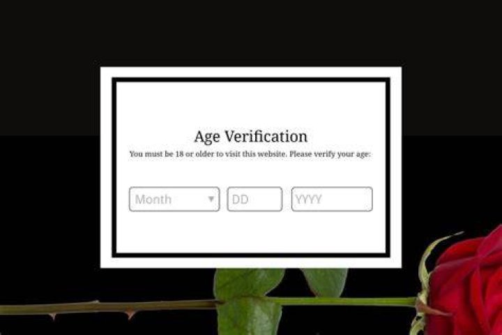 Adult forum age verification and registration