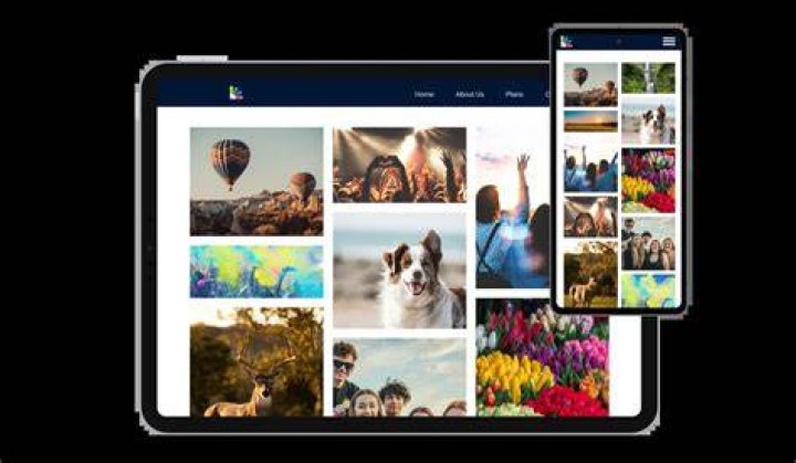 Comparison of adult image gallery platforms