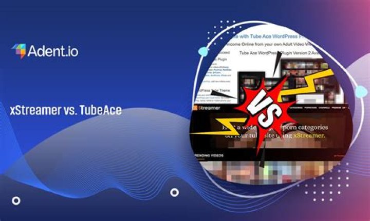 Adult tube site vs niche fetish platform