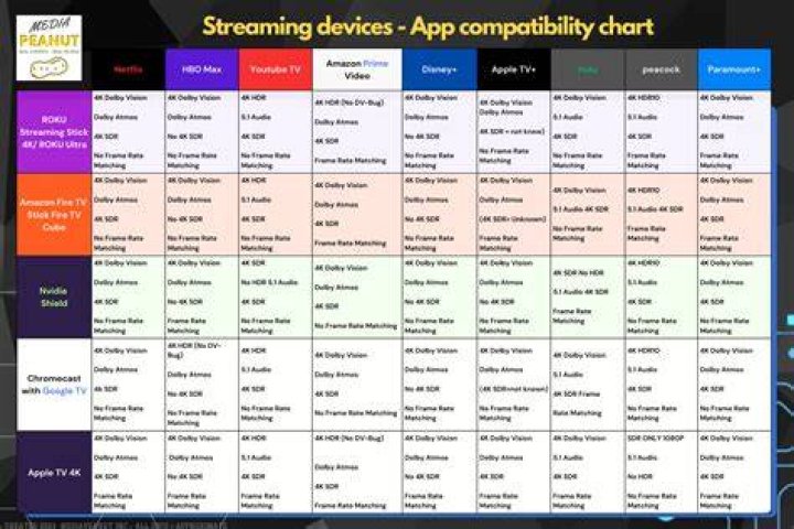 Comparison of adult video platforms in Asia