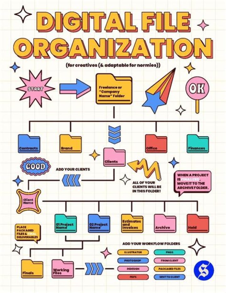 Content backup and organization for digital creators