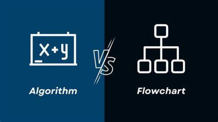 Content discovery on forums versus algorithm-based platforms