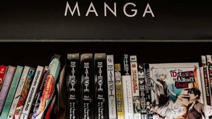Doujinshi tags explained manga categories