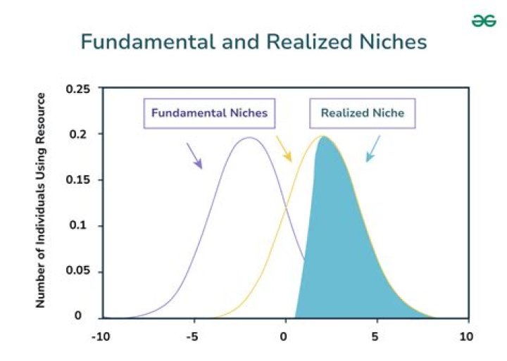 Comparison of niche fetish gallery site versus general platform