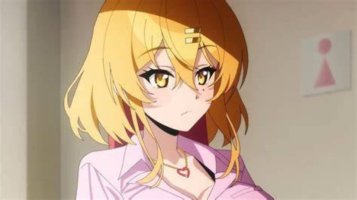 JAV adult video content library organization