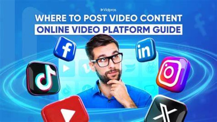 Leaked video content platform categories