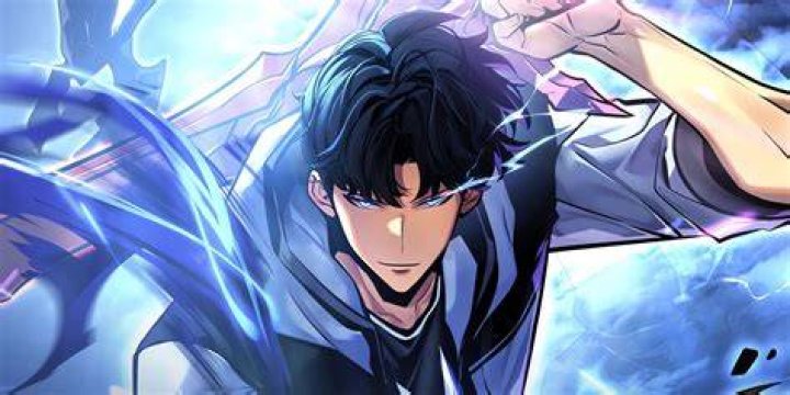 Licensed vs pirated webtoon manhwa copyright