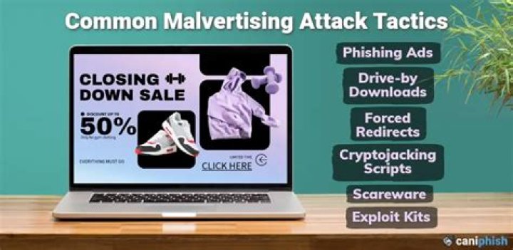 Malicious ads and malvertising risks on adult websites