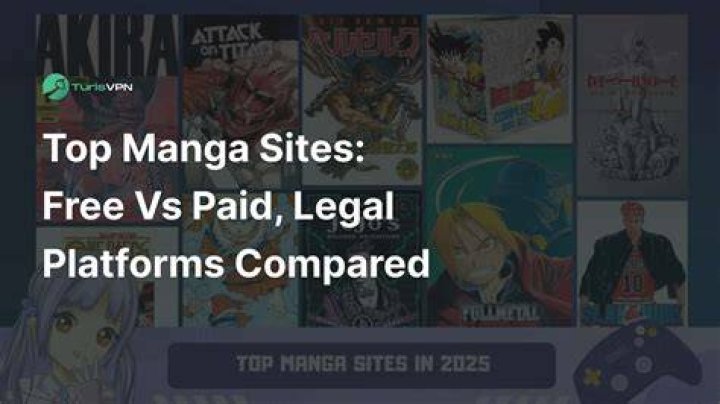 Legal considerations for reading manga online