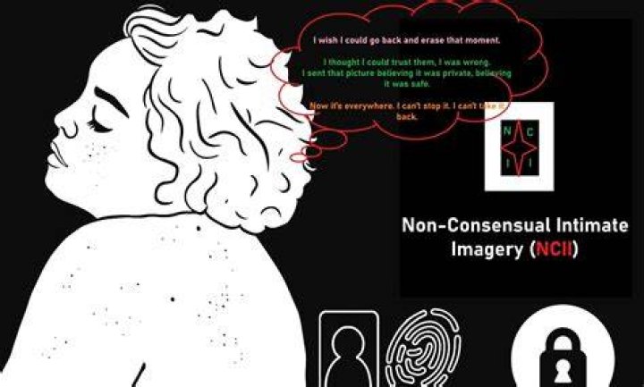 Non-Consensual Intimate Image Laws Across US States