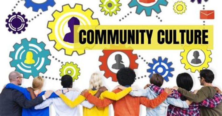 Online community culture and forum engagement