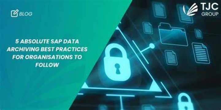 Responsible webcam video archiving best practices