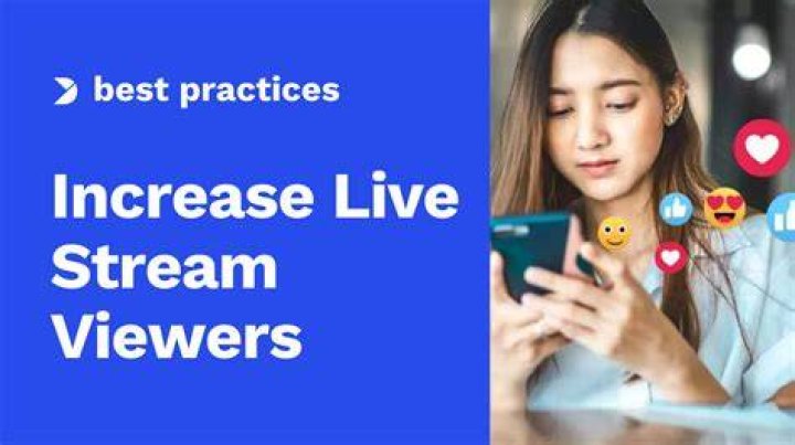Different types of webcam stream viewers and archive users