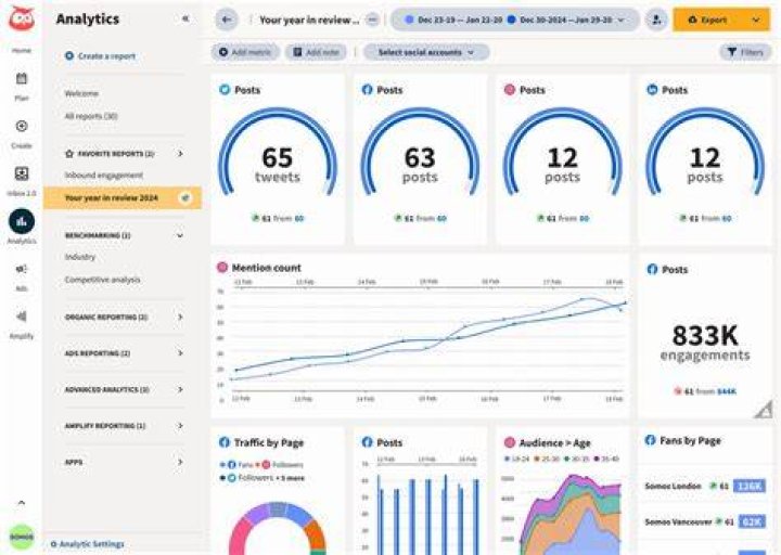 Website traffic and audience engagement analytics